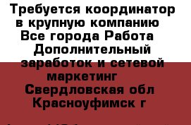 Требуется координатор в крупную компанию - Все города Работа » Дополнительный заработок и сетевой маркетинг   . Свердловская обл.,Красноуфимск г.